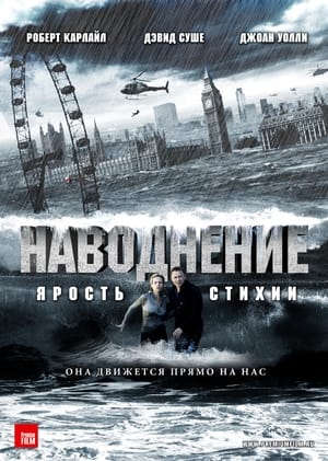 Poster Наводнение 2007