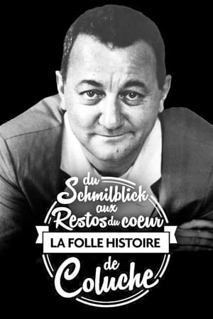 Poster Du Schmilblick aux Restos du Cœur, la folle histoire de Coluche (2014)