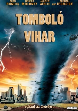 Poster Tomboló vihar 2008