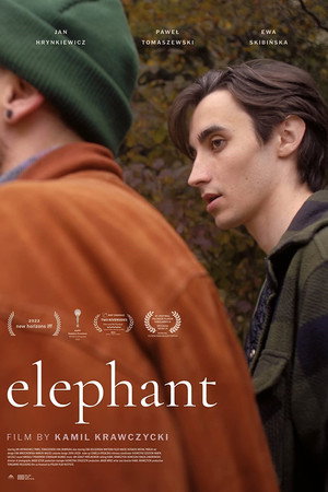 Elephant 25