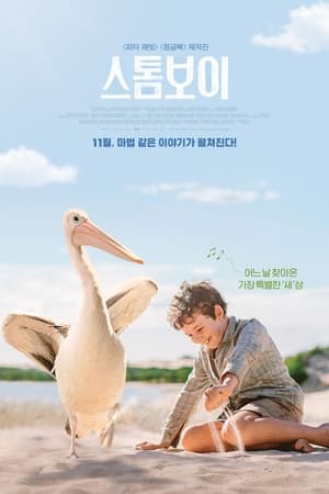 Poster 스톰보이 2019