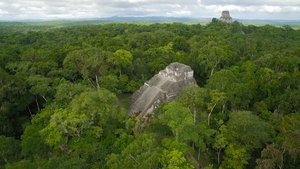 The Rise and Fall of the Maya Collapse