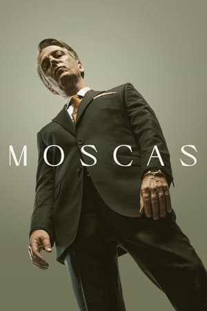 Poster Moscas 2023