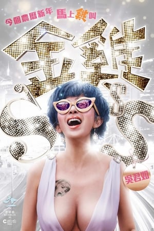 Poster 金鸡SSS 2014