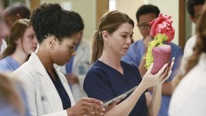 Grey’s Anatomy 11 x Episodio 10