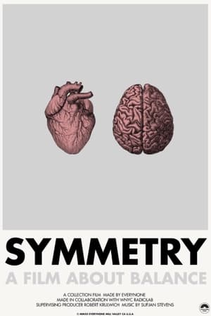 Symmetry (2011)