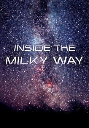 Poster Dentro de la Vía Láctea 2010