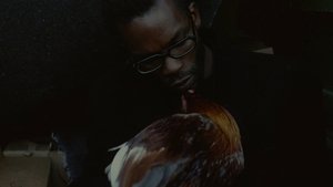 ¿A quién le importa la muerte? Online En Netflix