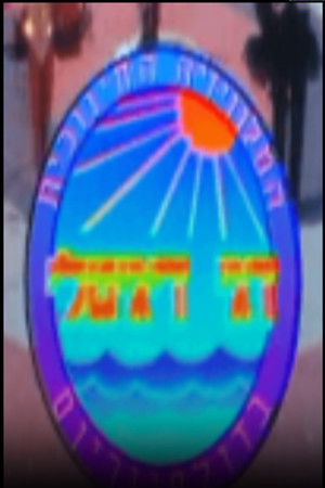 דגי דיגיטלי