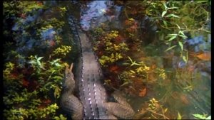 Prowlers of the Everglades (1953)