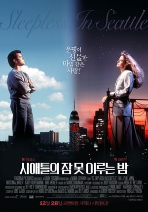 시애틀의 잠 못 이루는 밤 1993