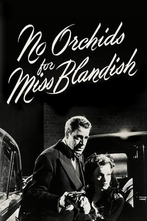 Poster 没有布兰蒂什小姐的兰花 1948