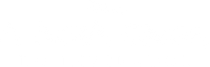 A Nova Onda do Imperador