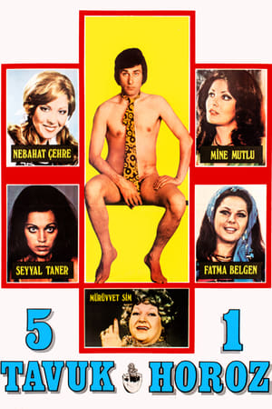 Poster Beş Tavuk Bir Horoz 1974