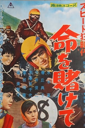 Poster スピード狂時代　命を賭けて 1959