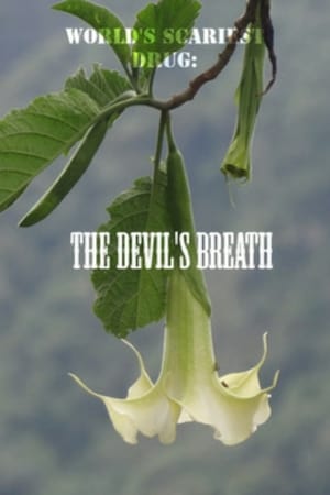 Poster World's Scariest Drug: The Devil's Breath (2012)