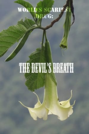 Image World's Scariest Drug: The Devil's Breath