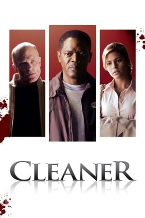 Cleaner 2007