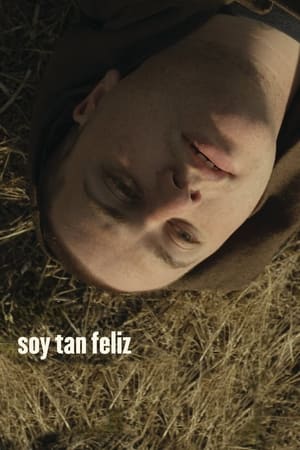 Poster Soy tan feliz 2011