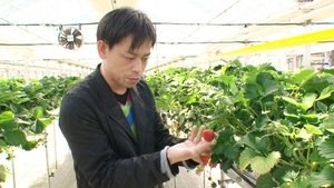 Global Branding Through Smart Farming