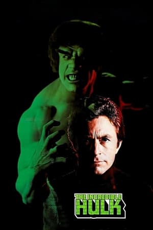 Poster The Incredible Hulk 1979