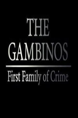 Poster The Gambinos: First Family of Crime (2007)