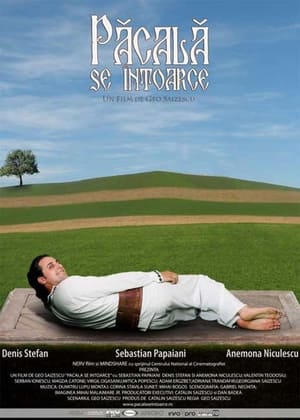 Poster Păcală se întoarce (2006)