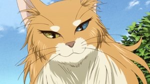 The Ancient Magus’ Bride Season 1 Episode 4