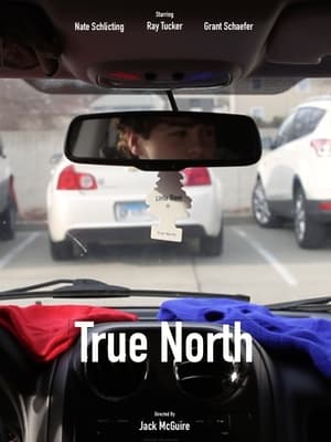 True North