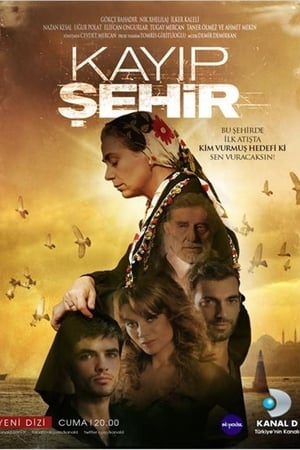 Poster Kayıp Şehir 2012