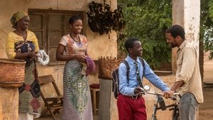 The Boy Who Harnessed the Wind