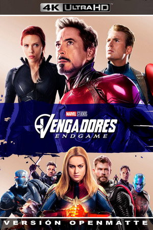 poster Avengers: Endgame