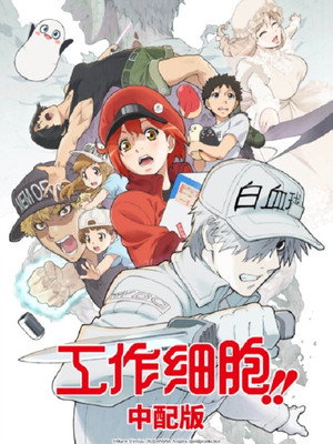 Cells at Work! 29