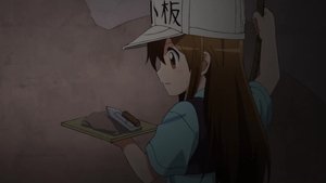 Cells at Work!: Season 1 Episode 8 –