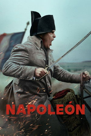 poster Napoleon