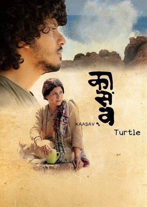 Kaasav: Turtle 3