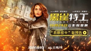 Images posters