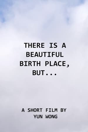 There Is a Beautiful Birth Place, But... (2023)
