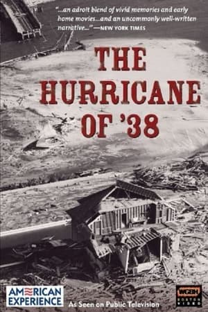 Poster The Hurricane of '38 (1993)