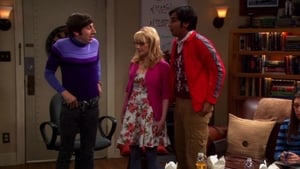 The Big Bang Theory Season 5 Episode 3