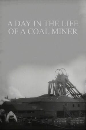 A Day in the Life of a Coal Miner