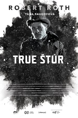 Poster True Štúr (2015)