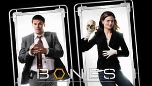 poster Bones