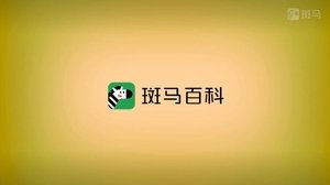 斑马百科 2022
