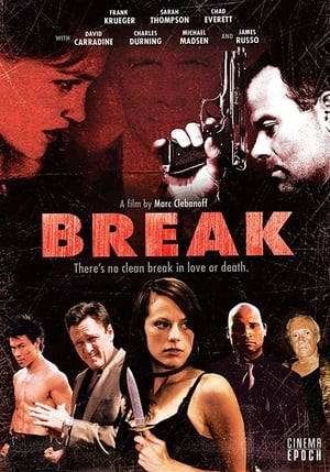 Poster Break 2009