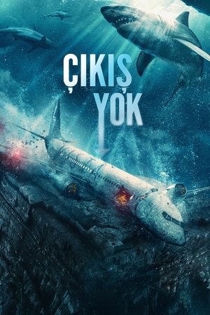 Image Çıkış Yok