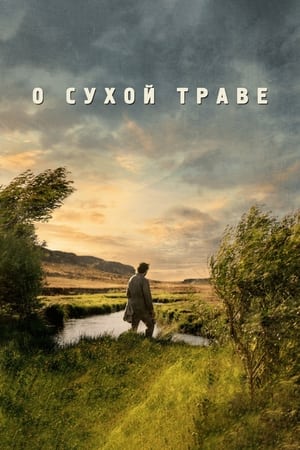 О сухой траве (2023)