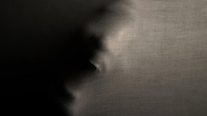 ReVisitant (2019)