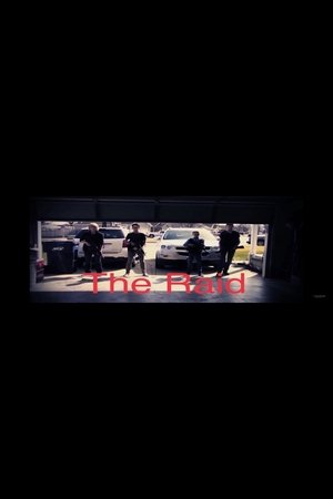 The Raid 2016