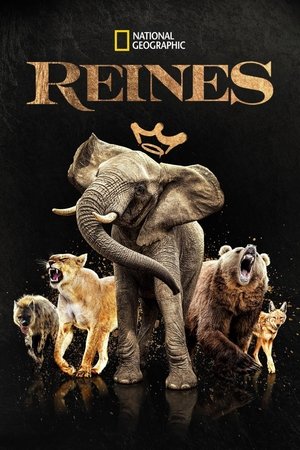 Reines movie poster